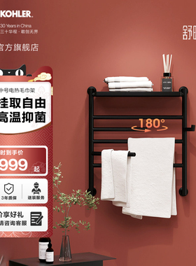 科勒安得适电热烘干消毒毛巾架卫生间浴室五金置物架中号29348