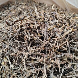 澜江叶子2024年春茶南糯山石头老寨古树茶