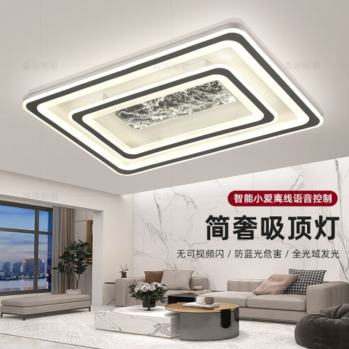 简约现代长方形语音吸顶灯套装