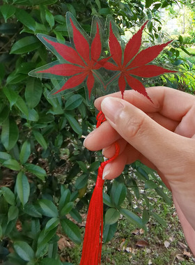 枫叶书签银杏叶标本创意礼物成品塑封植物红干花天然真树叶不染色