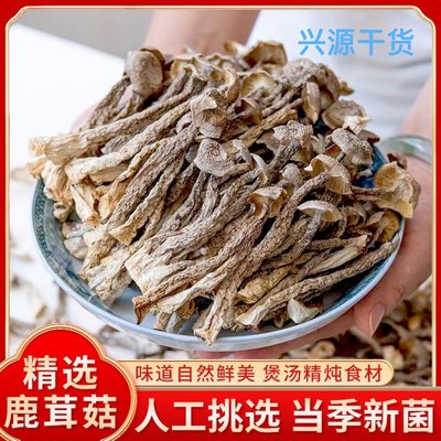 鹿茸菇干货 脆脆菇 煲汤料 炒菜蘑菇 口感脆嫩 净重无干燥剂发货