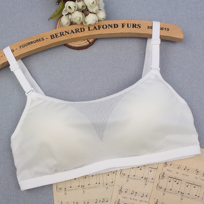 怡兰芬夏季无钢圈文胸定型内衣