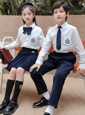 学院风中小学生校礼服白衬衫jk女合唱朗诵演出百褶裙毕业照灰套装