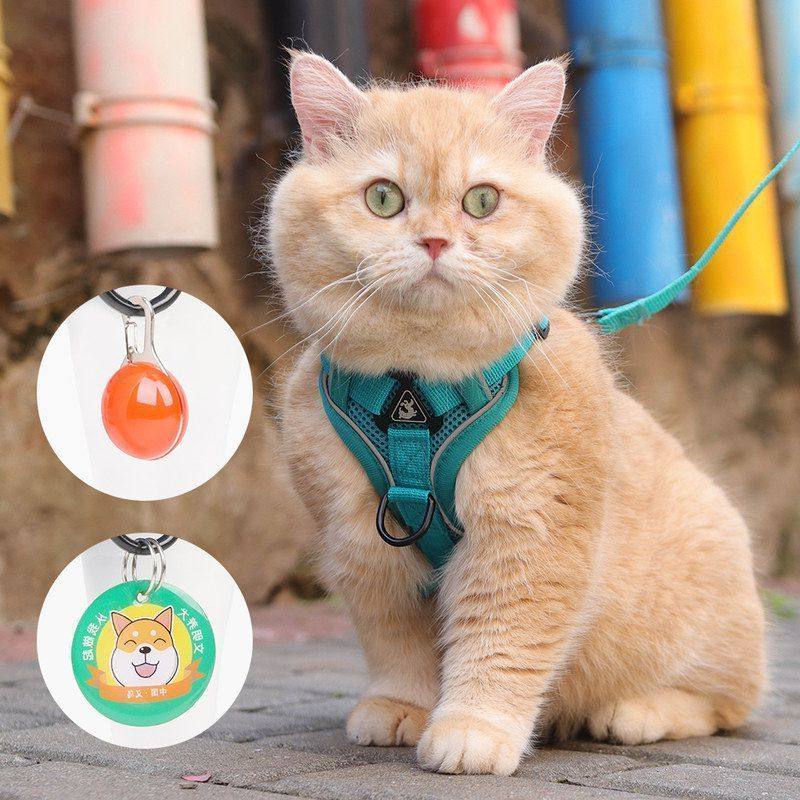 新款猫咪牵引绳宠物背心式胸背