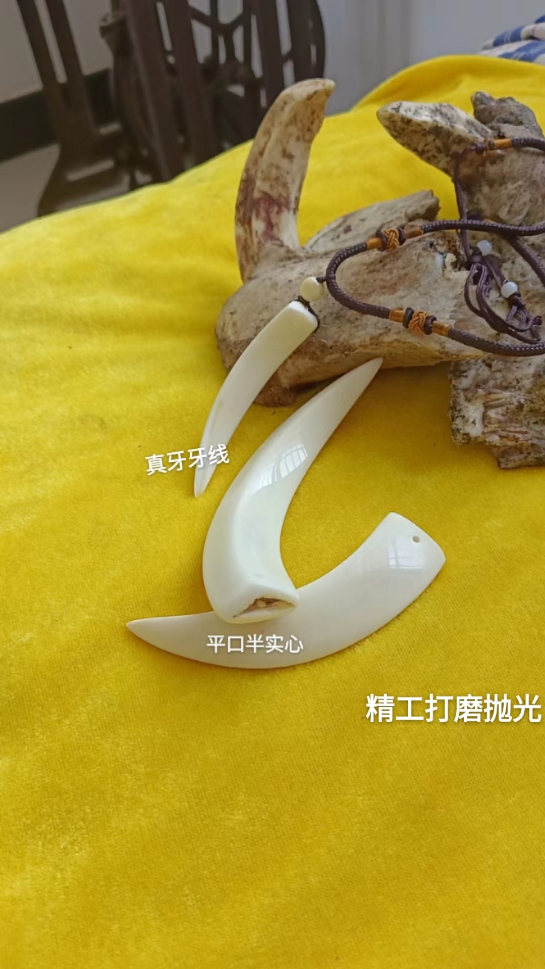 猪牙半实心牙尖精工打磨抛光文玩收藏项链吊坠手把件摆件
