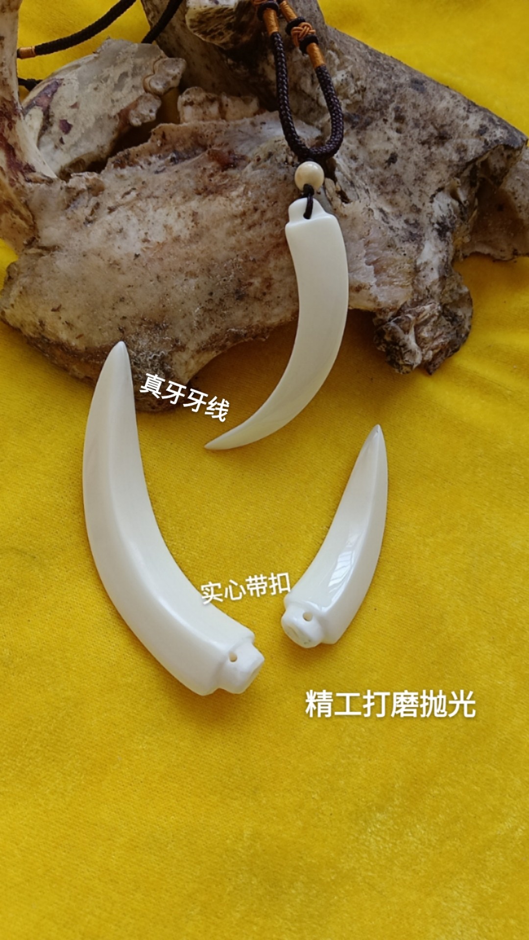 猪牙实心牙尖精工打磨手工抛光文玩收藏项链吊坠手把件超大