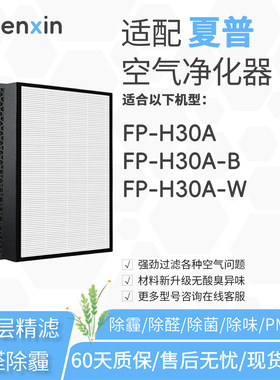 适配夏普sharp聲寶空氣清新機FP-H30A滤网FP-H30A-B/W滤芯FZ-F30