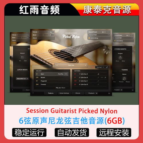 6弦原声尼龙弦吉他音源Session Guitarist Picked Nylon