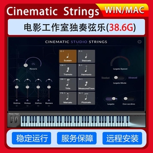 Cinematic Studio Strings影视工作室CSS群奏合奏弦乐音色音源