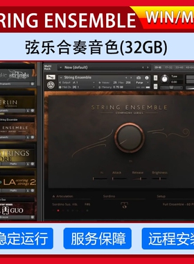 弦乐合奏交响乐音源STRING ENSEMBLE完整版康泰克音色库远程服务