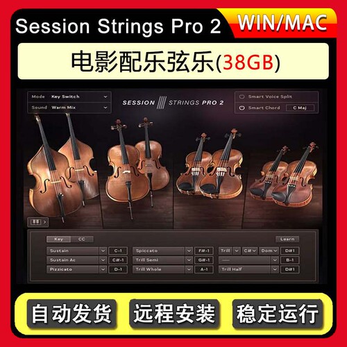 影视配乐弦乐录音室增强版 Session Strings Pro 2 康泰克音源
