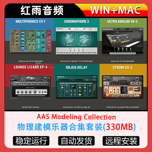 AAS Modeling Collection物理建模乐器合集套装Strum GS LL EP-4