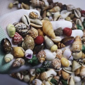 天然贝壳海螺混合贝砂家居装 饰精美手工DIY海洋海螺