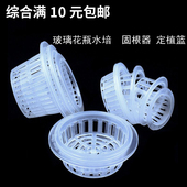 水培植物花瓶定植篮子园艺用品多种尺寸绿萝固根器无土栽培小篮筐