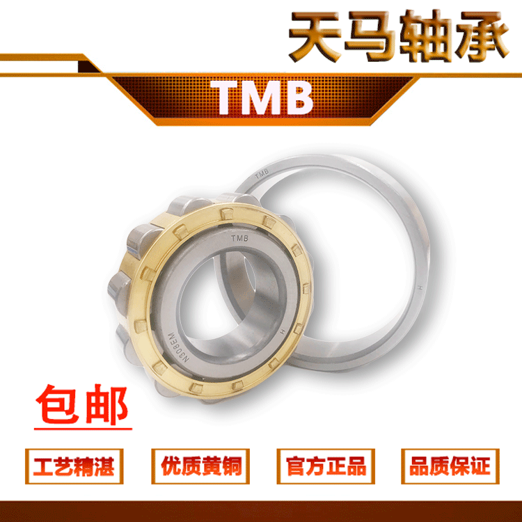 浙江TMB天马轴承 N NUP NF 214 215 216 217 218 219 EM