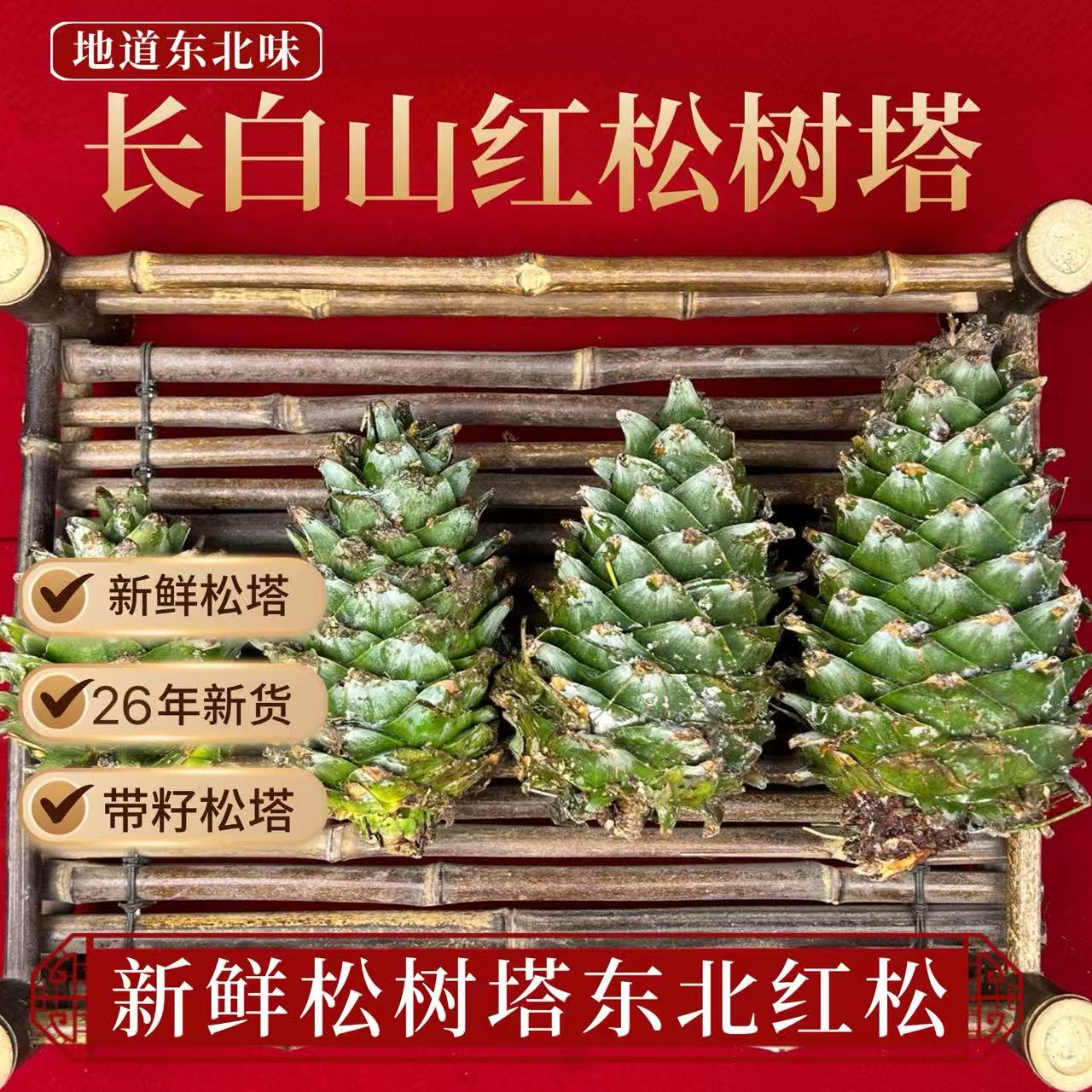 新鲜松树塔红松吉林长白山松树塔
