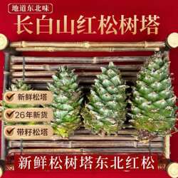 东北松树塔野生松果 长白山红松塔大颗粒手剥松子 松塔摆件宠物粮