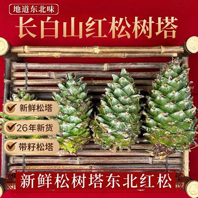 新鲜松树塔红松吉林长白山松树塔