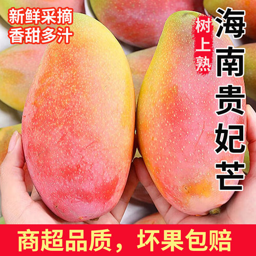 爆卖10w+件，正宗海南贵妃芒