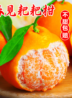 正宗四川春见耙耙柑粑粑柑现摘现发新鲜水果整箱丑桔橘子旗舰店