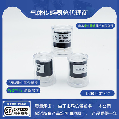 砷化氢ASH31Z.H2气体传感器