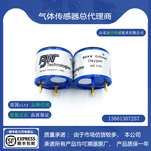 SR-X2V气体检测仪传感器BW