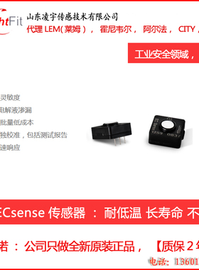 ES1/ES4-H2-1000/20000/40000PPM德国氢气传感器气体代理商大量程