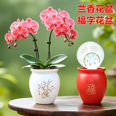蝴蝶兰文心兰专用仿陶瓷套盆