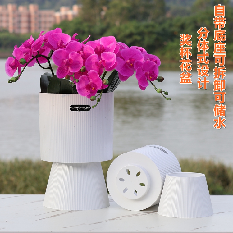 新款蝴蝶兰拼组合花盆2.5寸2.8寸兰花杯组盆奖杯盆多肉石斛种植盆