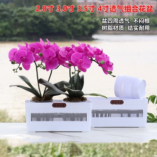 加厚树脂透气蝴蝶兰拼组合花盆多肉石斛兰花杯镂空网格控根大花钵