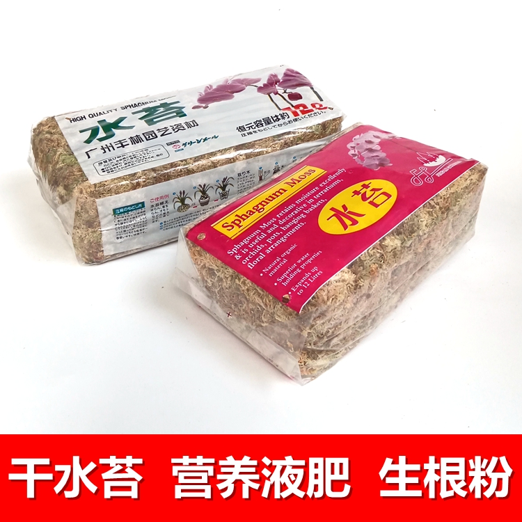 蝴蝶兰多肉石斛猪笼草种植干水苔