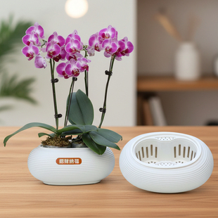 加厚蝴蝶兰拼组合花盆两棵组盆花钵红掌小盆栽种植仿陶瓷储水套盆