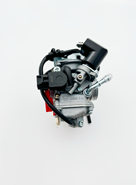 摩托车岭木韵彩100T-B睿彩QS125T-2B-4B丽彩红宝UM125T国三化油器