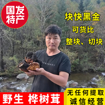 东北黑龙江长白山桦树茸