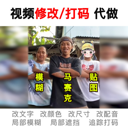 视频打码制作修改文字变速改尺寸字幕编辑剪辑压缩局部遮挡马赛克