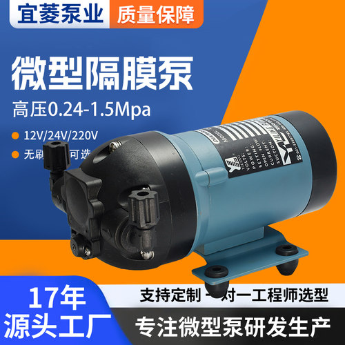DP-220无刷微型隔膜泵  CE认证 直流水泵 耐腐蚀 耐油 微型水泵