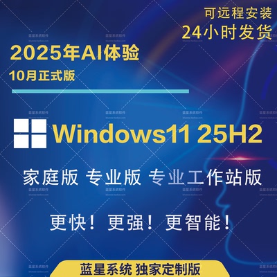 win11 25H2专业版工作站正式纯净官方ISO原版windows11度盘秒发