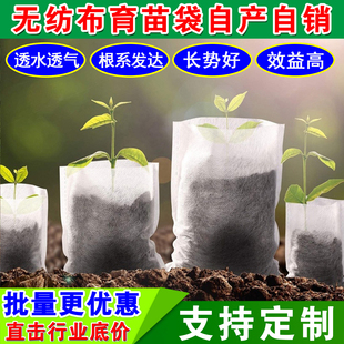无纺布育苗袋批发一次性营养钵可降解植树袋厂家直销白色美植袋