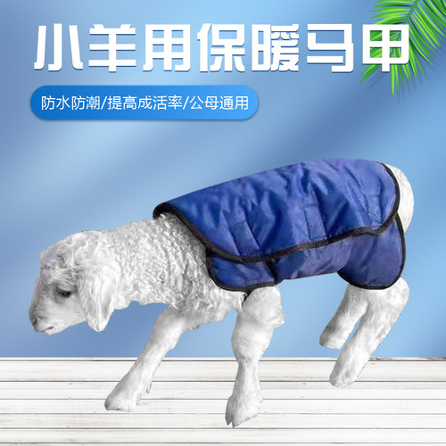 糕羊马甲加绒加厚加大羊犊新生羔羊服防风保温小羊衣服保暖防水