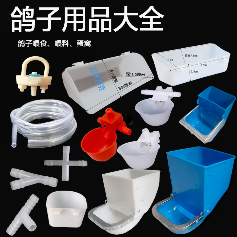 喂养鸽子用品大全喂料喝水