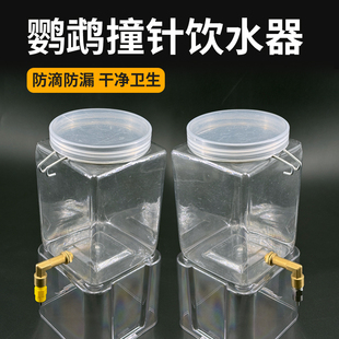 宠物不锈钢撞针饮水器芦丁鸡鹦鹉防漏自动撞针水壶荷兰猪兔