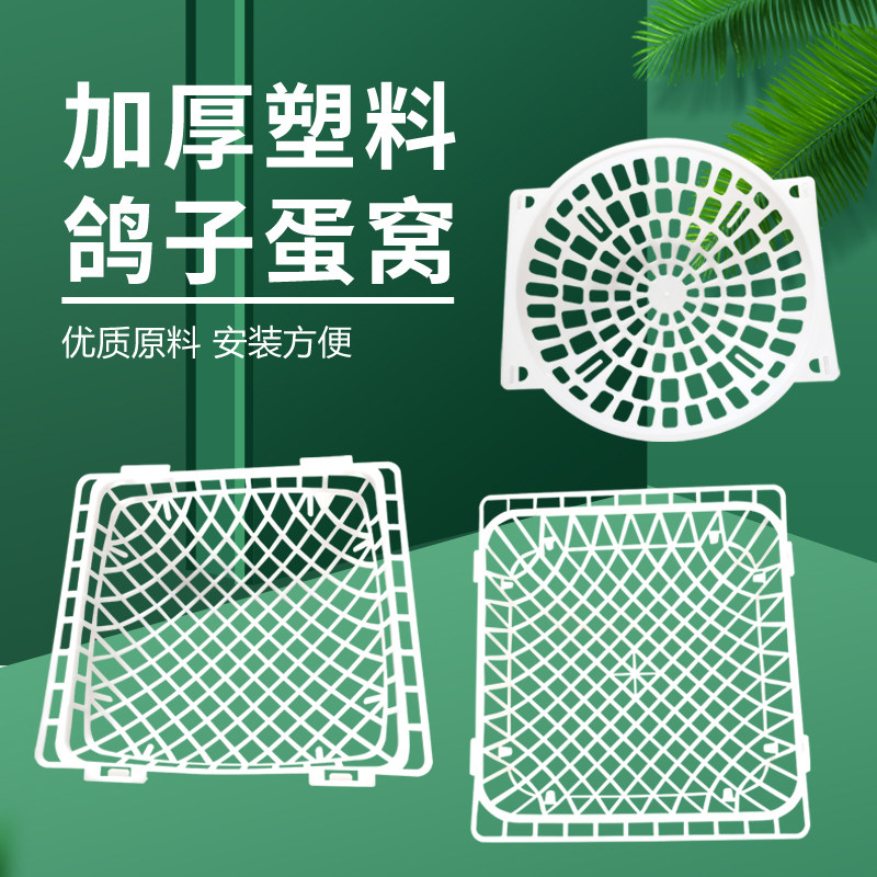 加厚塑料鸽子蛋窝养殖用具优质原料安装方便家禽孵化器图片
