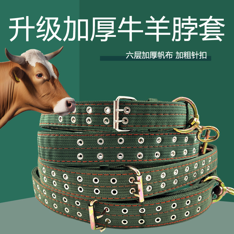 加厚栓牛脖套保险扣神器羊用项圈牛脖子套拴牛专用绳子牛用品大全