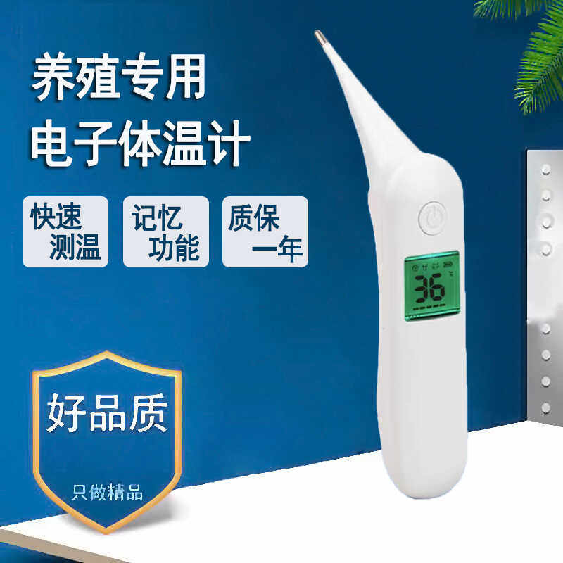 兽用肛门动物测温计宠物用
