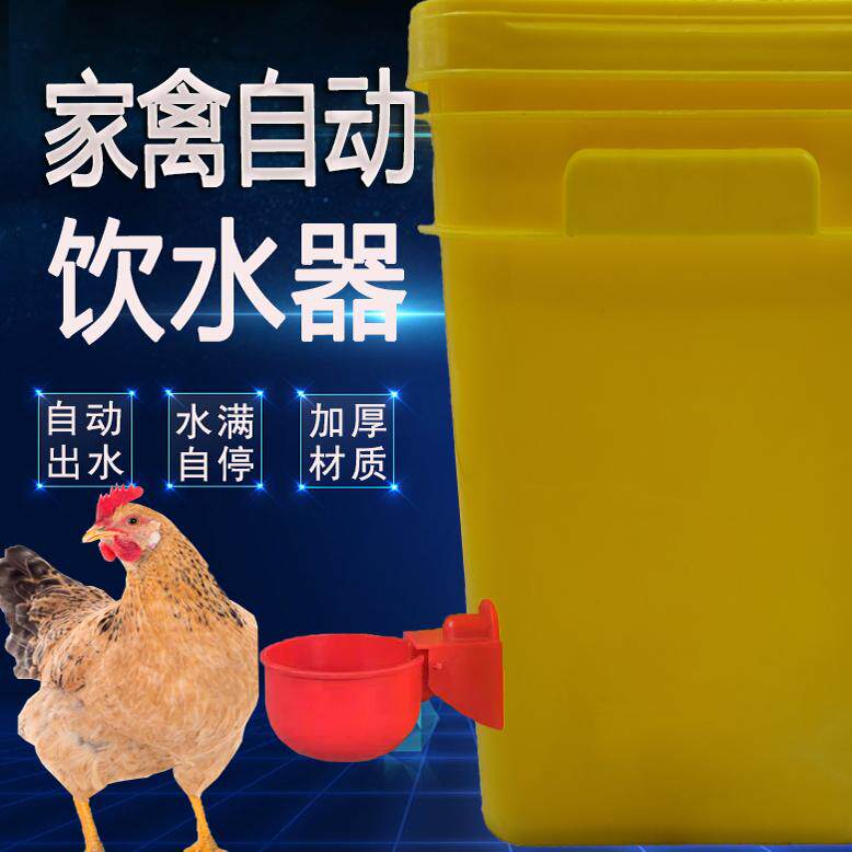 家禽饮水器自动喂水桶装饮水碗鸡鸭鹅鸽子自动补水碗喝水碗饮水桶