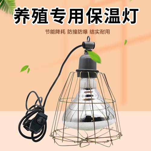 养殖保温灯鸡鸭鹅小猪保温灯家用养殖取暖灯防水防爆取暖灯灯泡