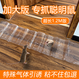粘鼠板透明1.2米灭鼠魔毯捕鼠器神器灭鼠家用加大加厚大老鼠克星