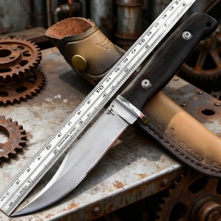 户外高硬度直刀迷你水果刀随身便携不锈钢手把肉刀巴克小刀吃肉刀