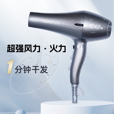 戴尔8890吹风机大功率强力