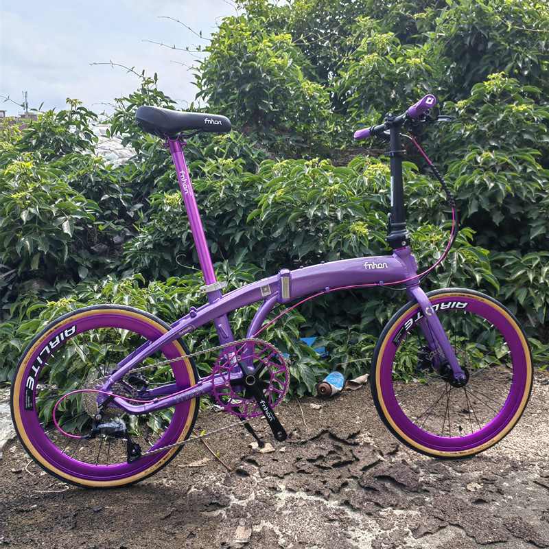 新款风行FNHONLDG海豚车架